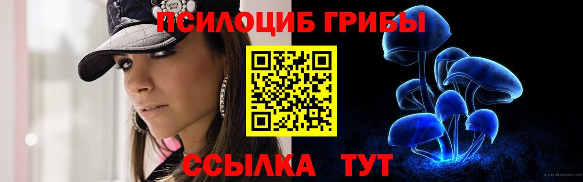 Псилоцибиновые грибы мицелий  Вход с VPN  что такое наркотик  Вичуга 